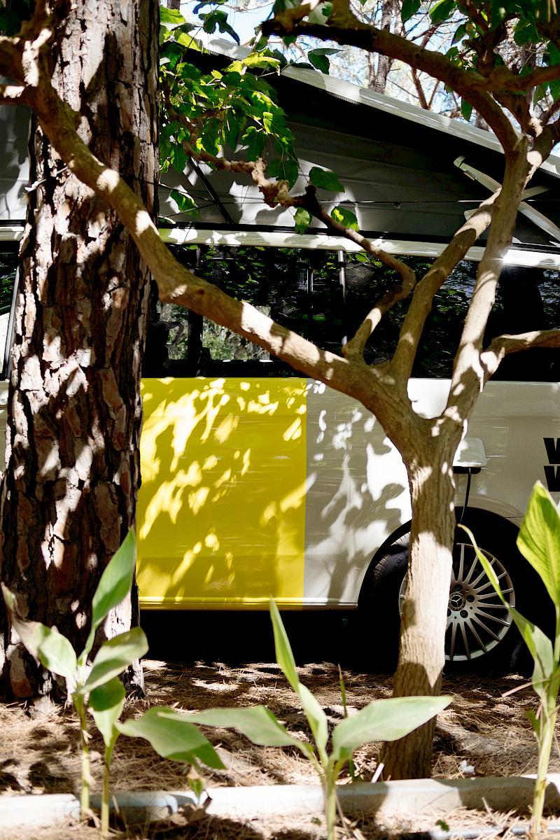 VanVan Mercedes Marco Polo under a tree shadow play